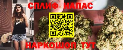 таблы Будённовск