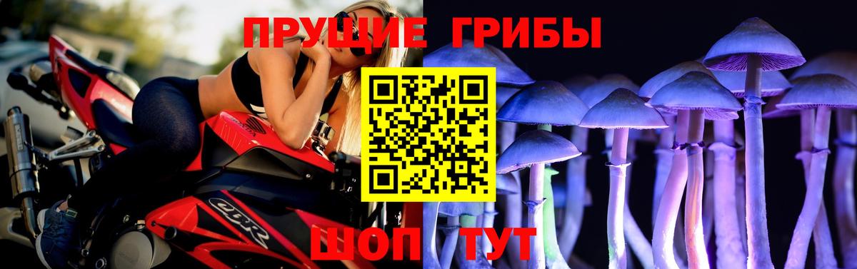 Каменск-Шахтинский  Галлюциногенные грибы ЛСД  Псилоцибиновые грибы мицелий  Вход с VPN 